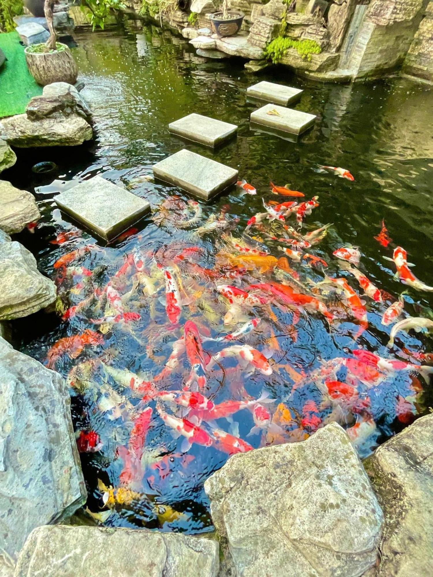 Chuon Chuon Villa Homestay Tam Dao Bagian luar foto