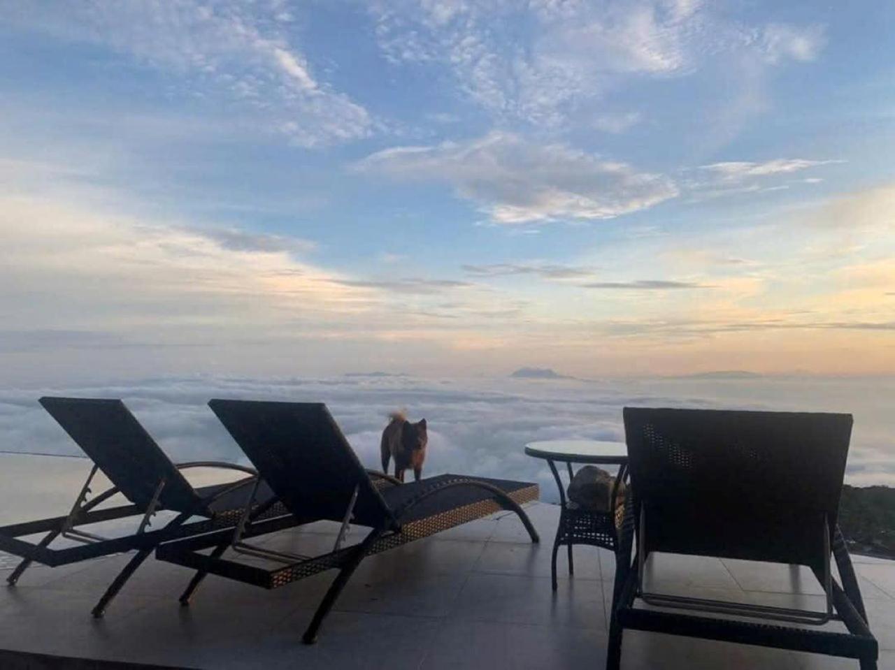 Chuon Chuon Villa Homestay Tam Dao Bagian luar foto